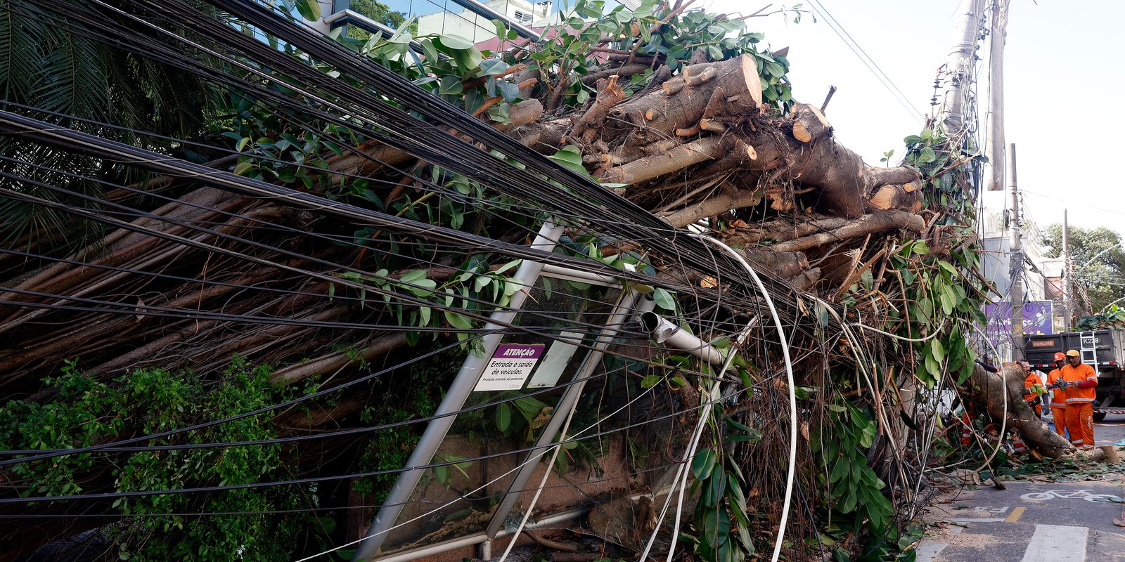 Falta de energia no Rio atinge 279 mil clientes após forte vendaval