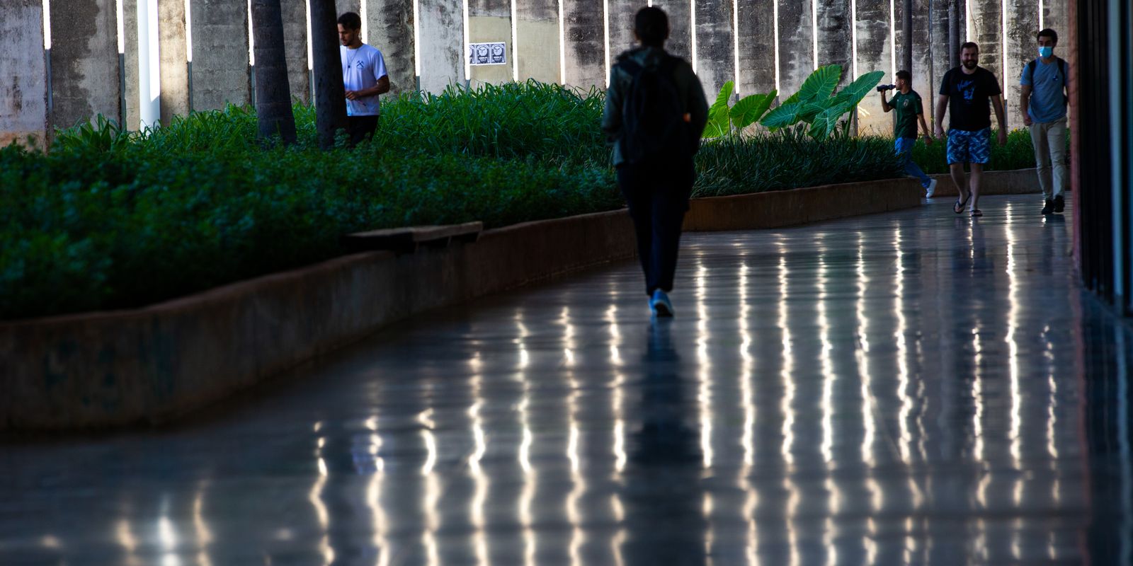 Prazo para pedir a implantação de cuidoteca nas universidades termina no sábado