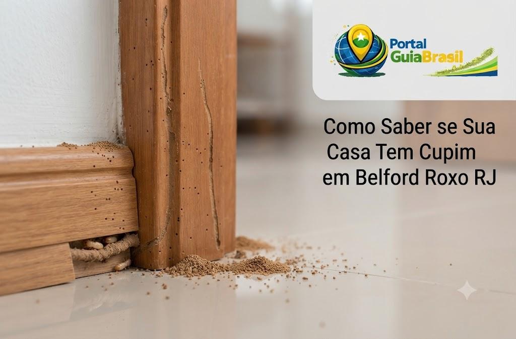 Como Saber se Sua Casa Tem Cupim em Belford Roxo RJ