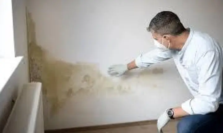 Adeus Umidade: Soluções Práticas para Combater o Mofo nas Paredes Durante a Época de Chuvas