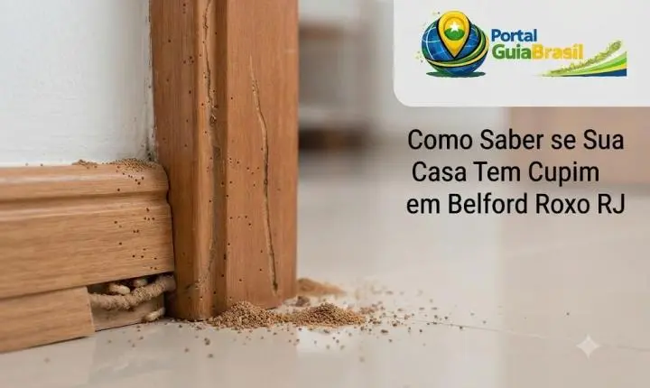 Como Saber se Sua Casa Tem Cupim em Belford Roxo RJ