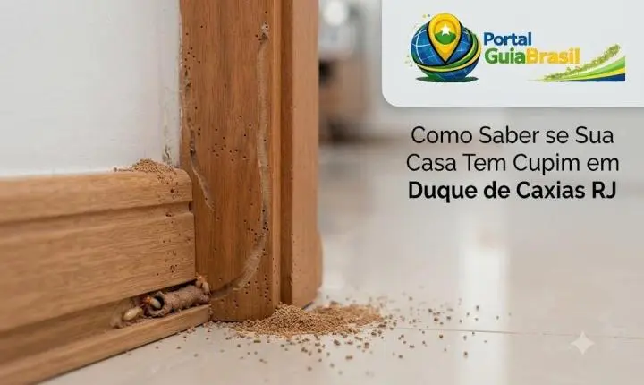 Como Saber se Sua Casa Tem Cupim em Duque de Caxias RJ