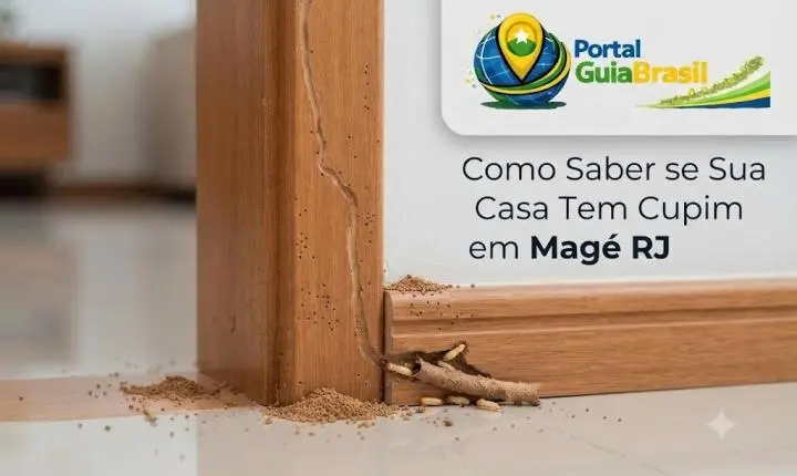 Como Saber se Sua Casa Tem Cupim em Magé RJ