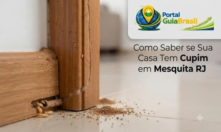 Como Saber se Sua Casa Tem Cupim em Mesquita RJ