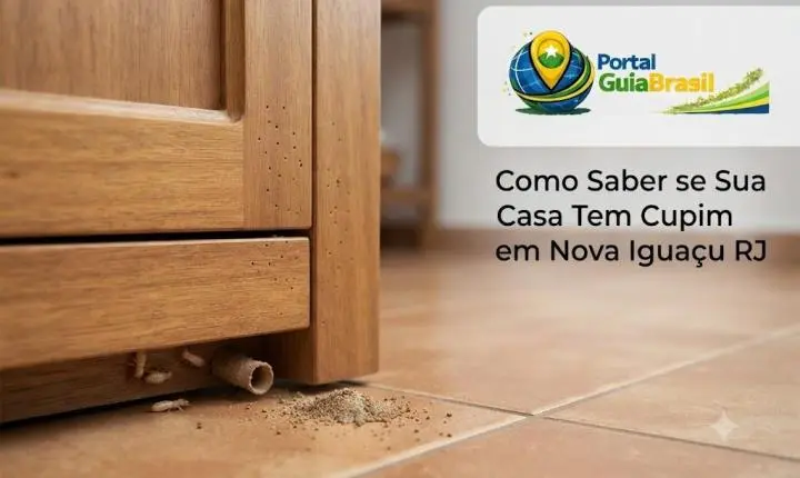 Como Saber se Sua Casa Tem Cupim em Nova Iguaçu RJ