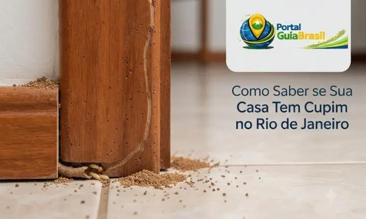 Como Saber se Sua Casa Tem Cupim Rio de Janeiro