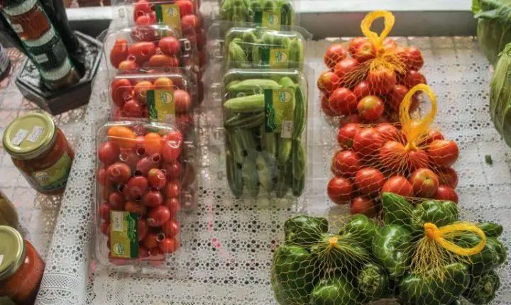 Do Campo para a Mesa: A Rota dos Orgânicos na Capital da Agricultura