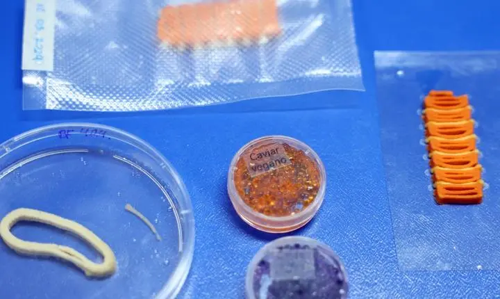 Embrapa cria em laboratório versões veganas de salmão, caviar e anéis de lula