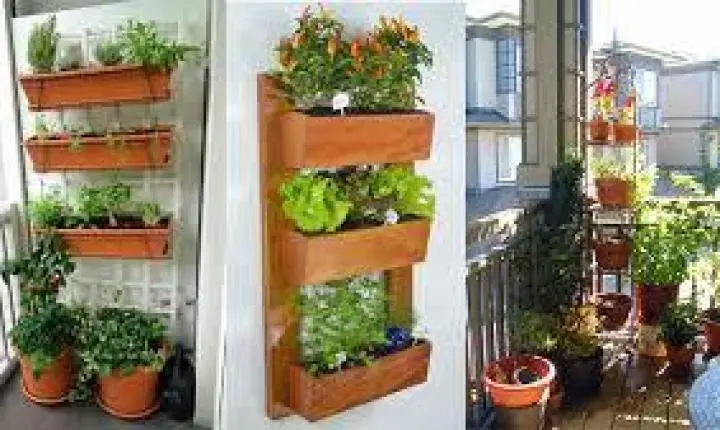 Horta em Apartamento: O Guia Prático para Cultivar Temperos Frescos na sua Varanda