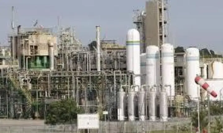 Indústria Farmacêutica em Foco: Belford Roxo como Polo de Saúde e Produção Química