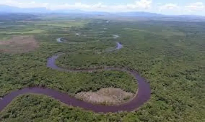 O Cinturão das Águas: Guapimirim e o Desafio da Preservação dos Mananciais em 2026